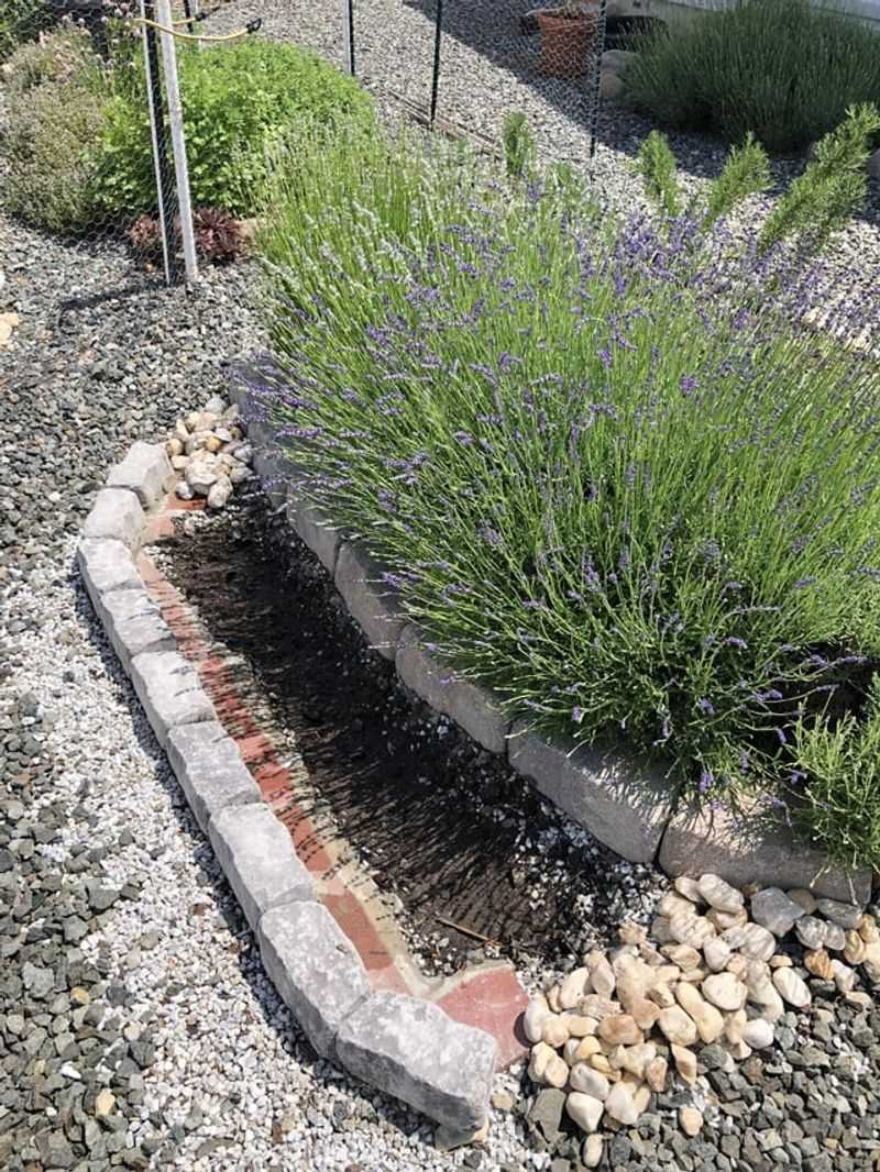 Mulch With The Right Materials