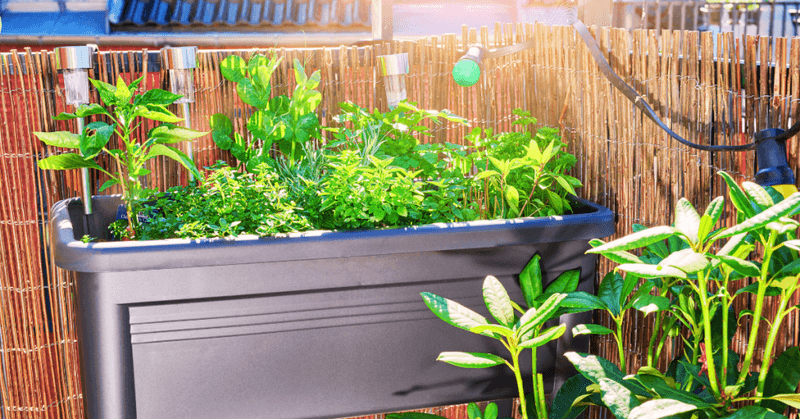 Protect From Wind Stress