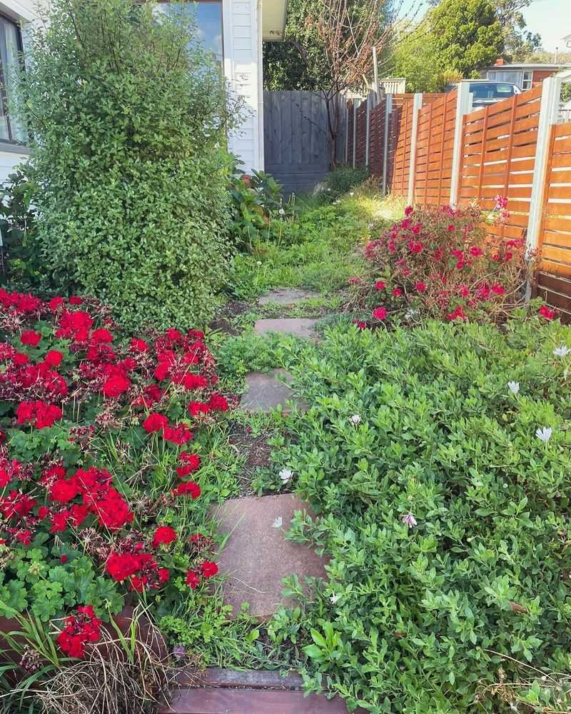 Control Weeds Until Established