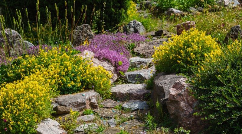 Slope Stabilization Capabilities