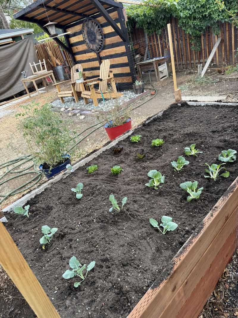 Planting Warm-Season Vegetables