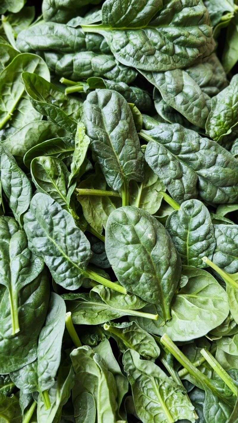 Spinach