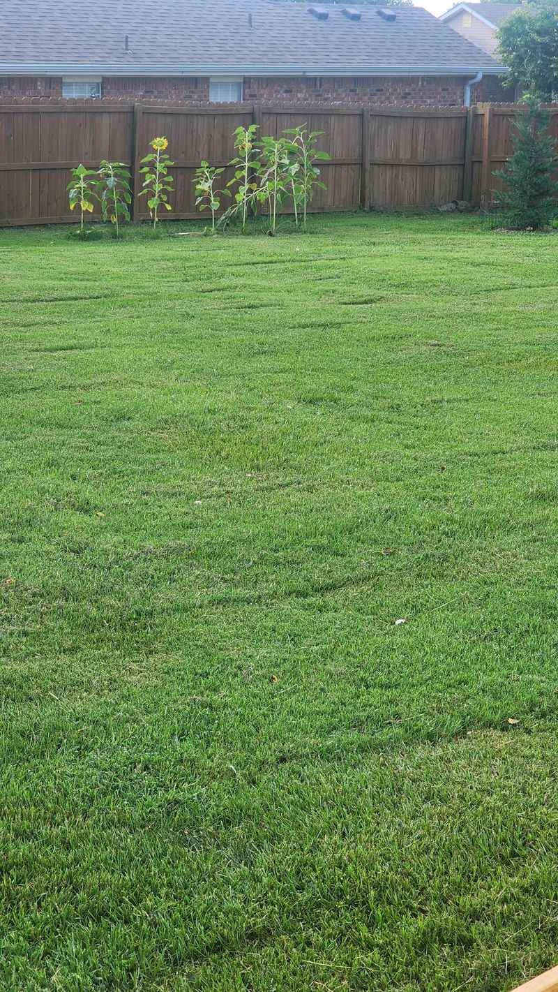 Uneven Cutting Patterns