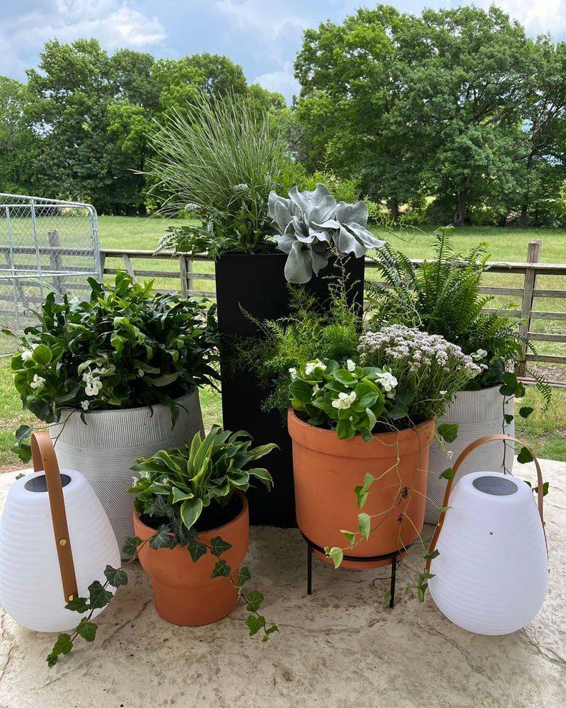 Container Garden Clusters