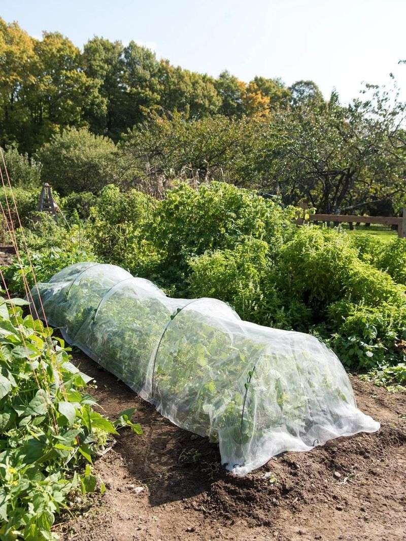 Plant Covers