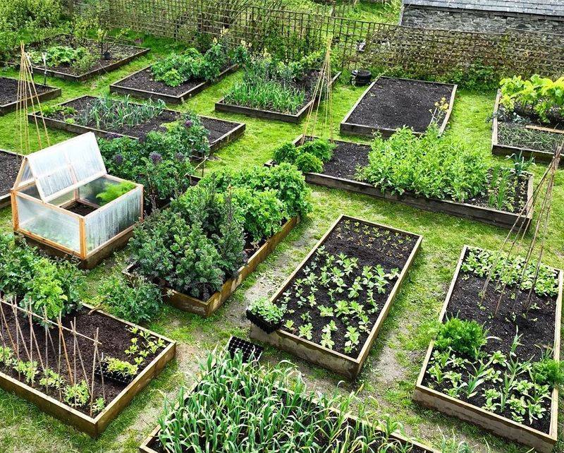 Extensive Vegetable Gardens