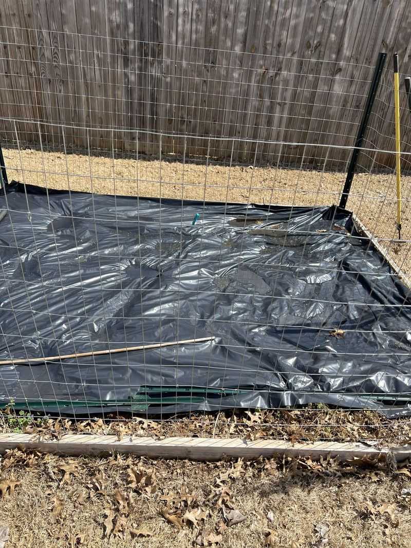 Near Black Plastic Mulch In Hot Climates