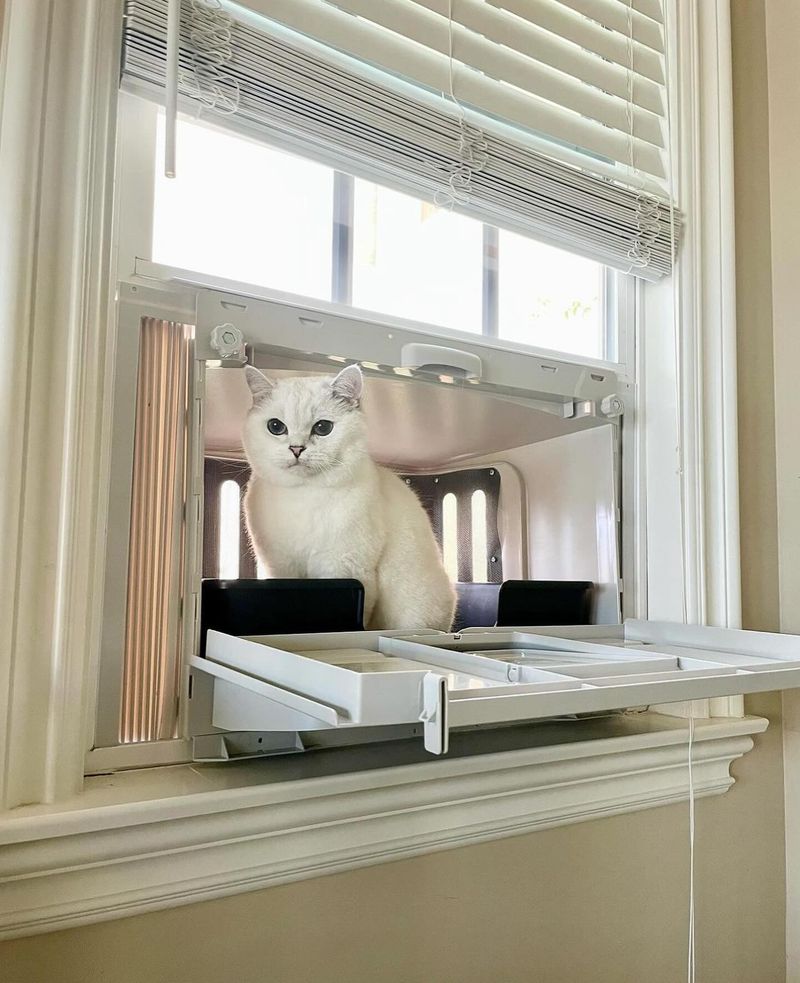 Keep Cats Indoors