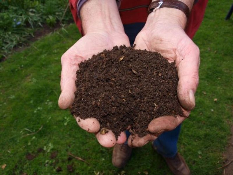 Improves Soil Structure