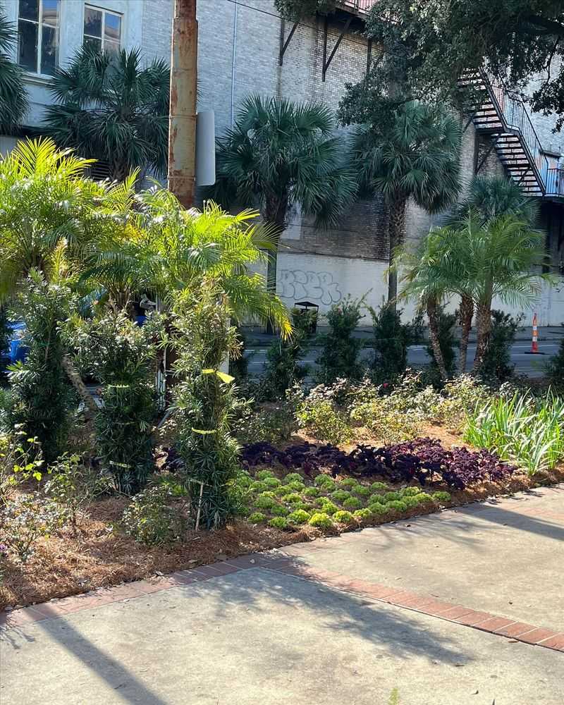 Makes Plant Identification Easier