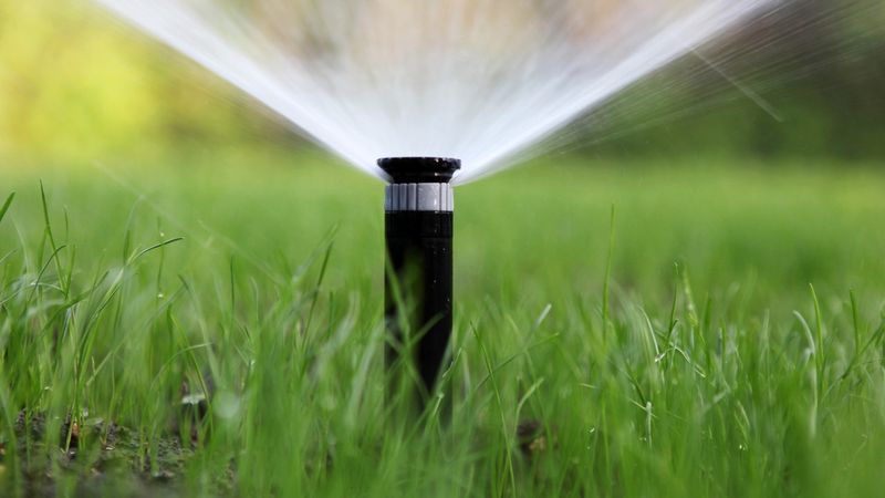 Lawn Sprinkler Zones