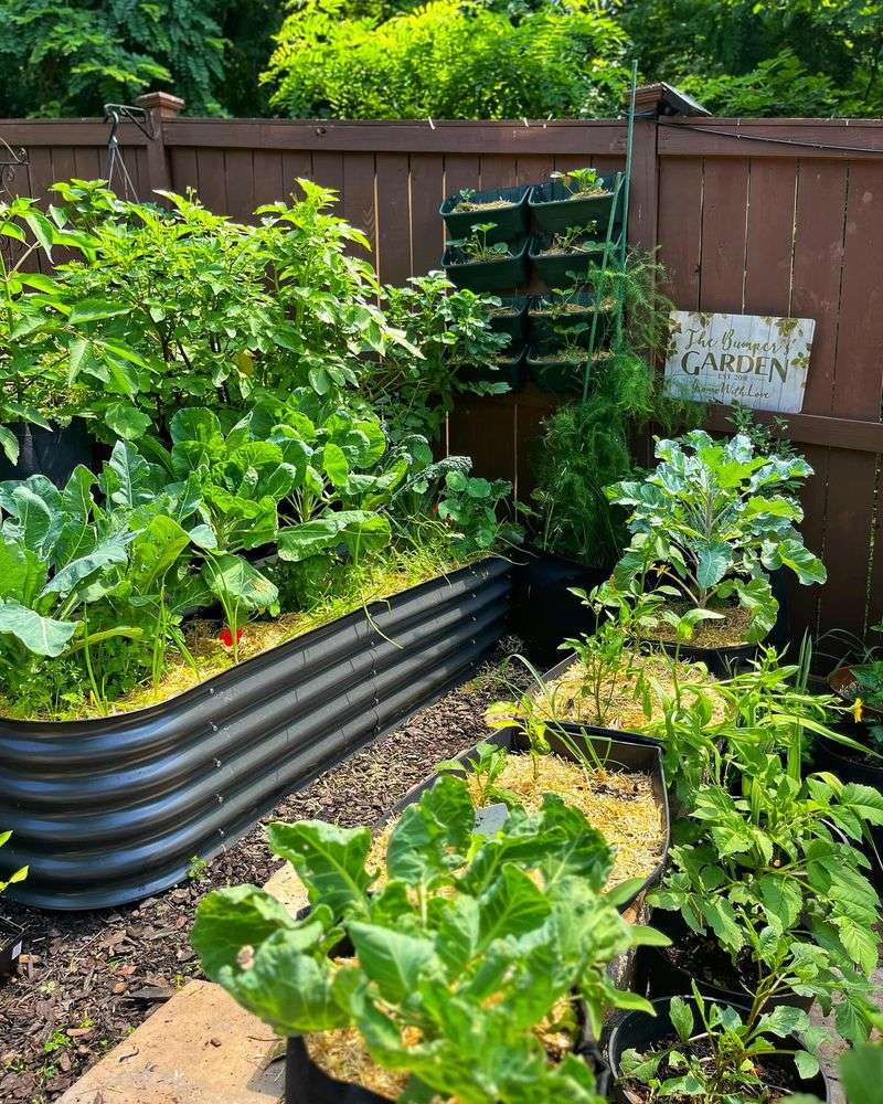 Mulch Vegetable Gardens Differently