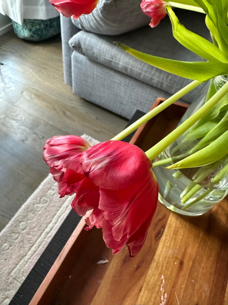 Support Droopy Stems