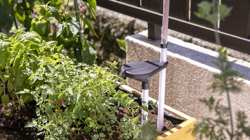 Self-Watering Container Systems
