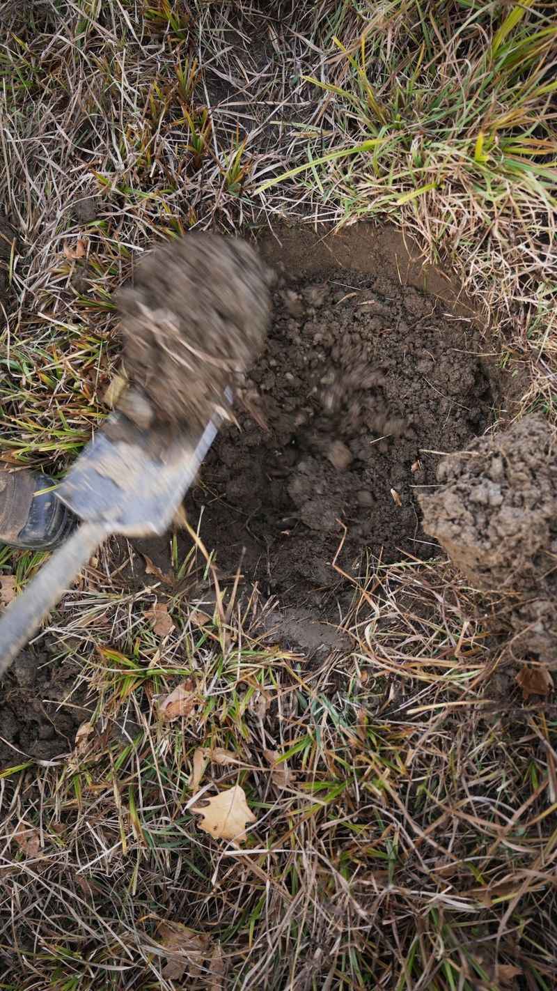 Understand Soil Requirements