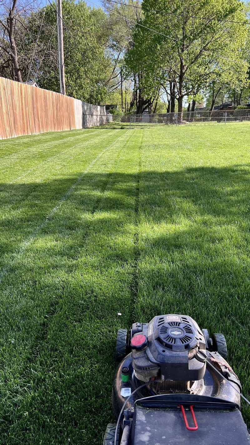 Mow First, Fertilize Second