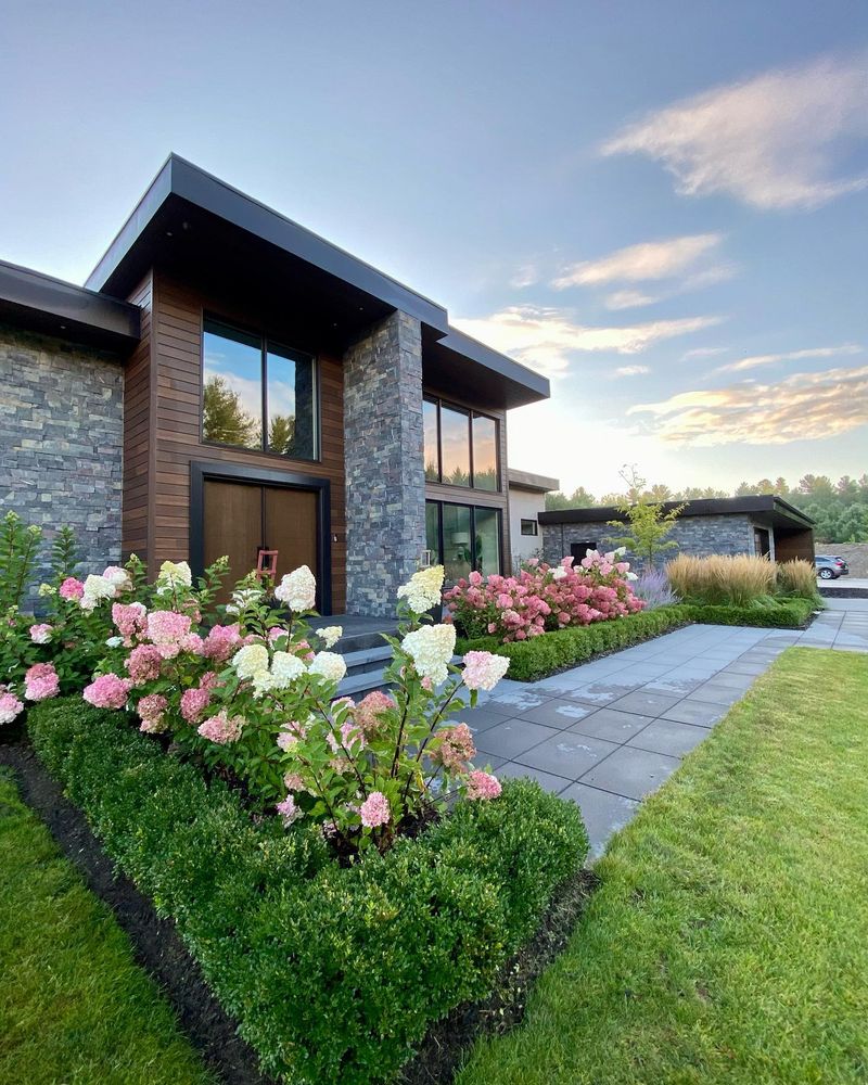 Boxwood Creates Sheltering Windbreaks