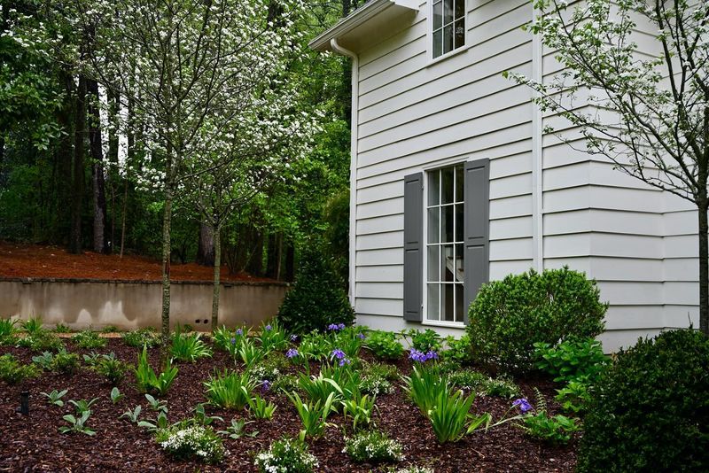 Foundation-Friendly Native Plants