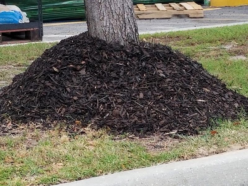 Mulch Volcanoes Around Trees