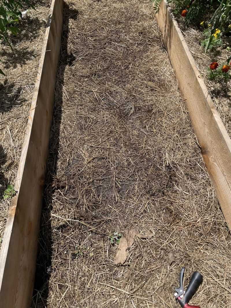 Heavy Clay Soil