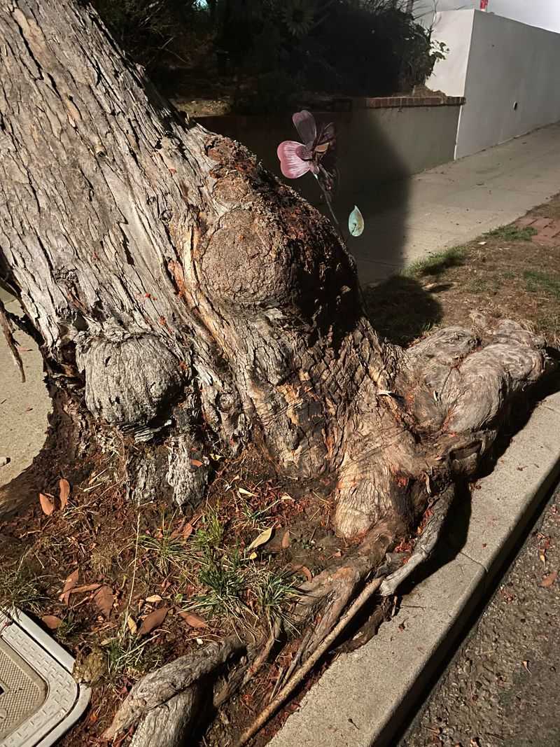 Excessive Lean Threatens Nearby Structures