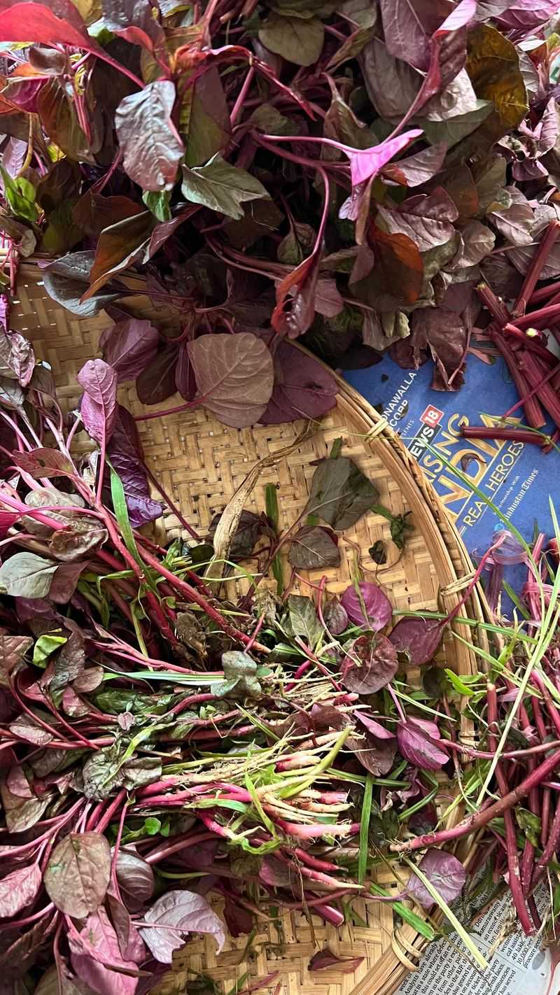 Amaranth