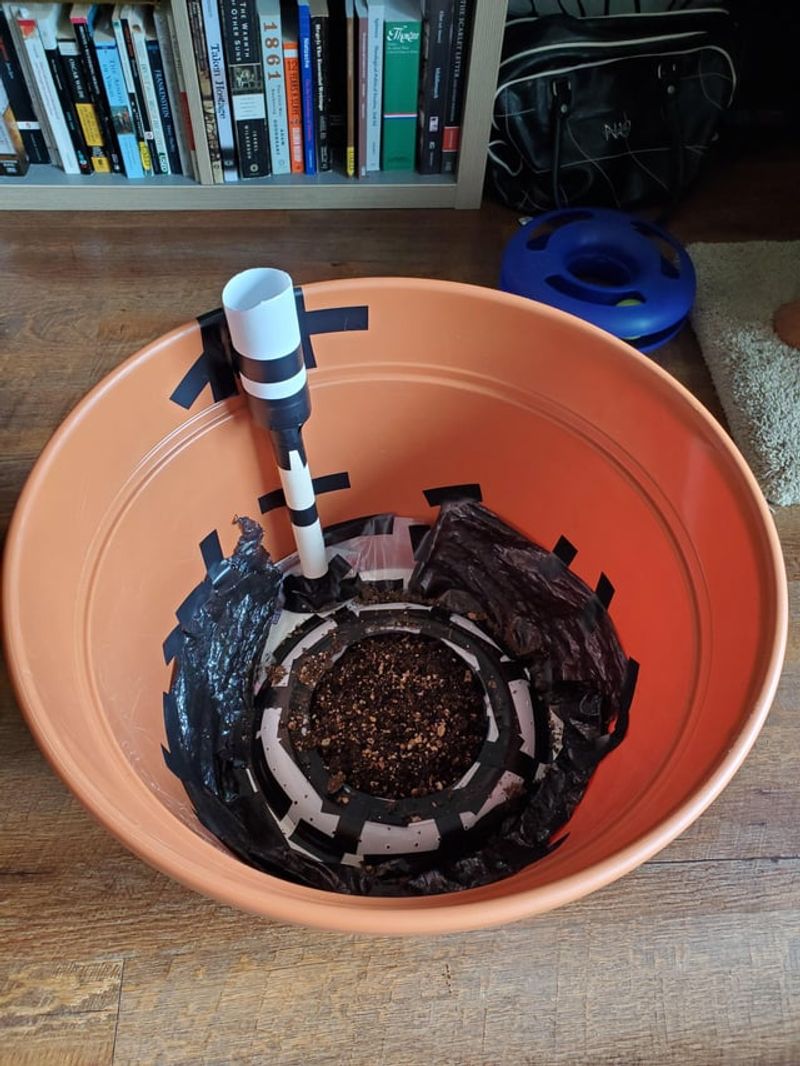 Consider Self-Watering Containers