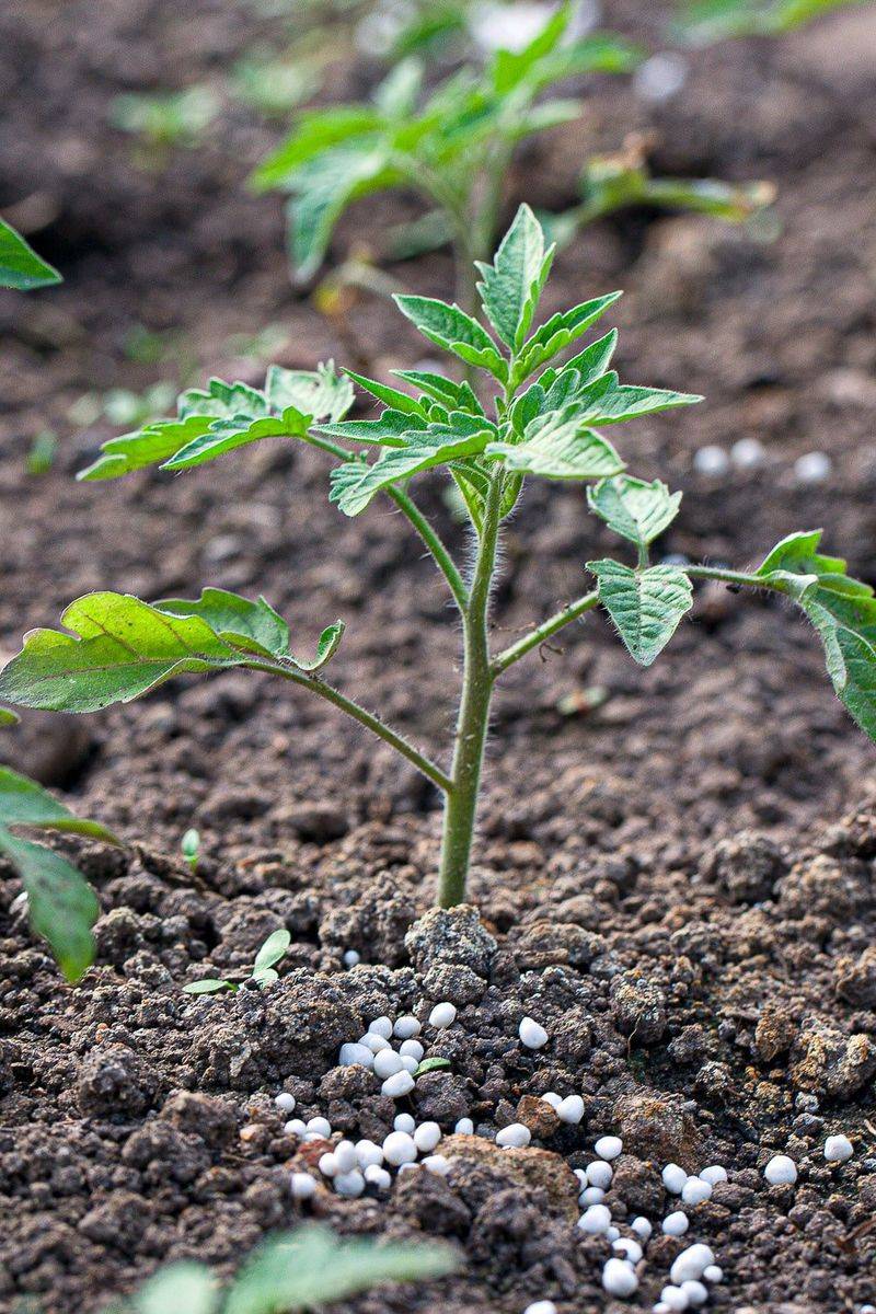 Tailor To Plant Type