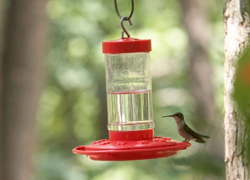 Store Clean Feeders Properly