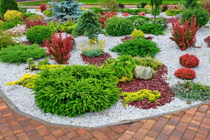 Pea Gravel Surrounding Shallow-Rooted Shrubs