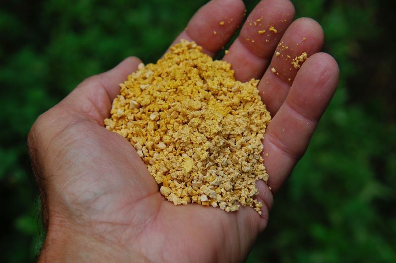 Cornmeal Gluten Application