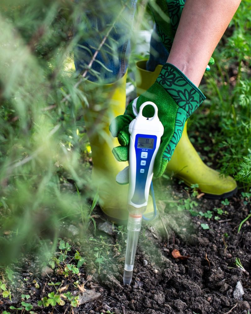 Soil pH Problems
