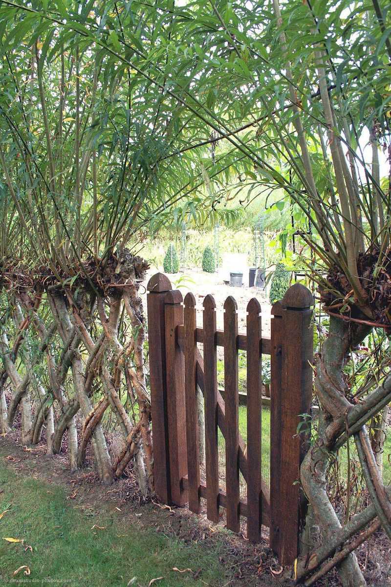 Woven Willow Hurdle Fencing