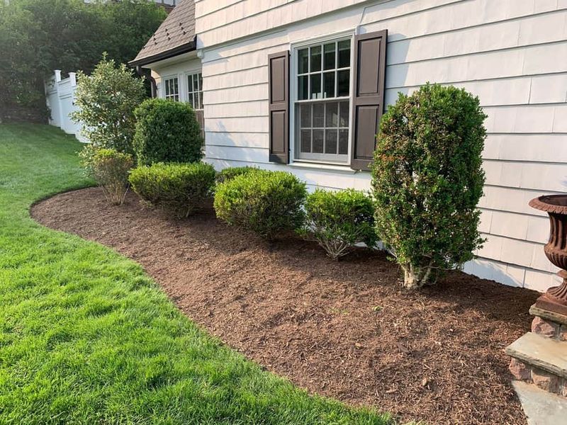 Mulch Directly Against House Foundation