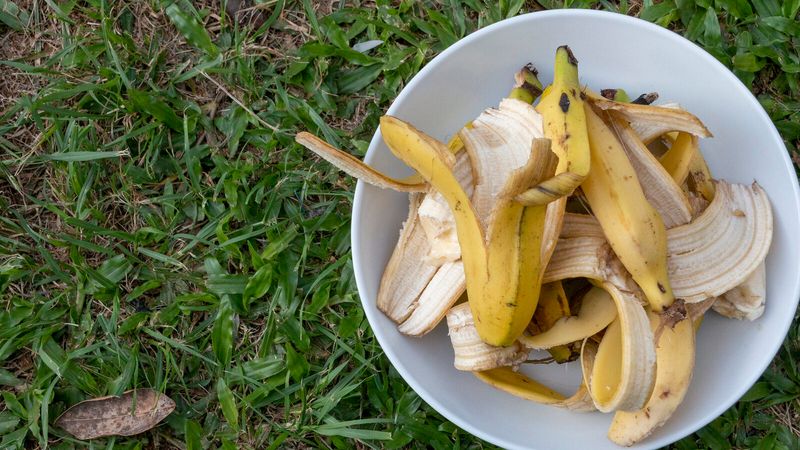 Boost with banana peels