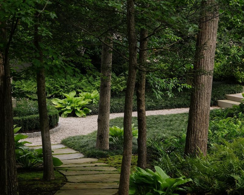 Woodland Garden Path