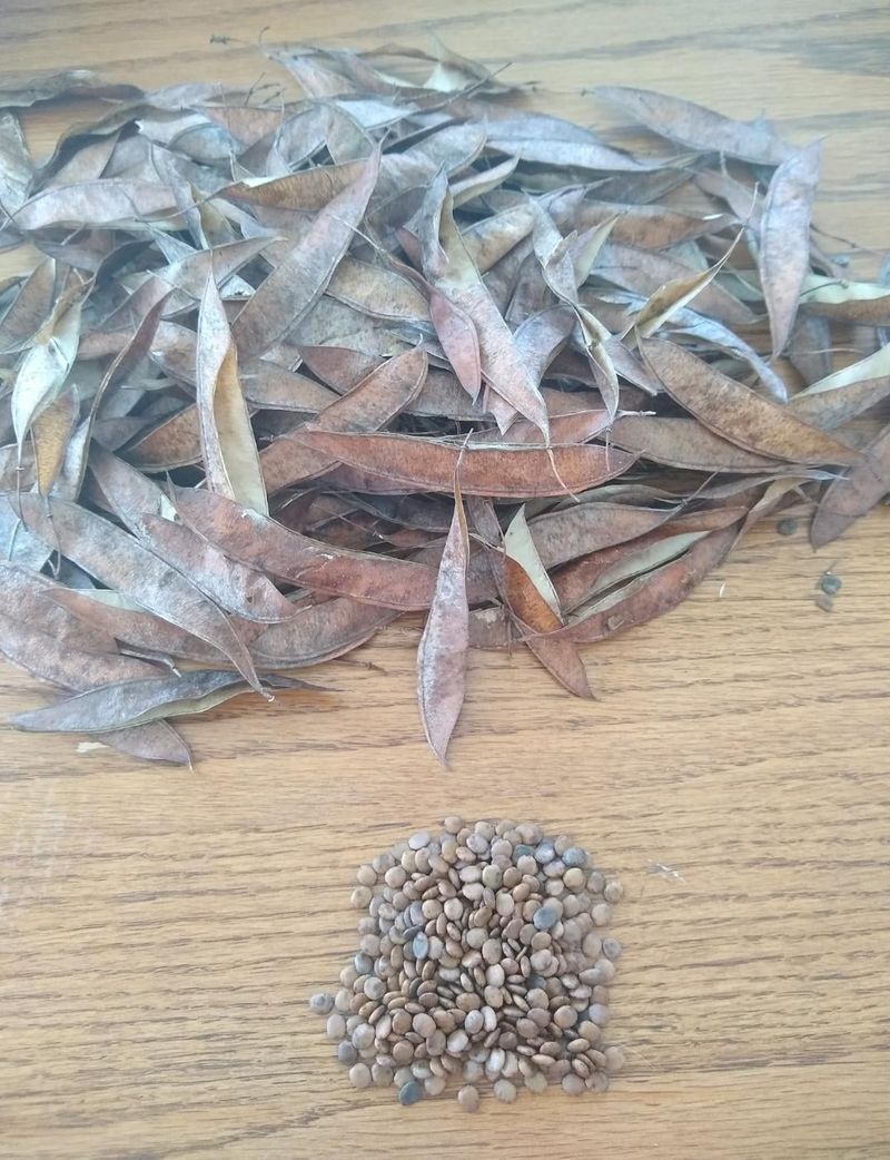 Propagation Possibilities