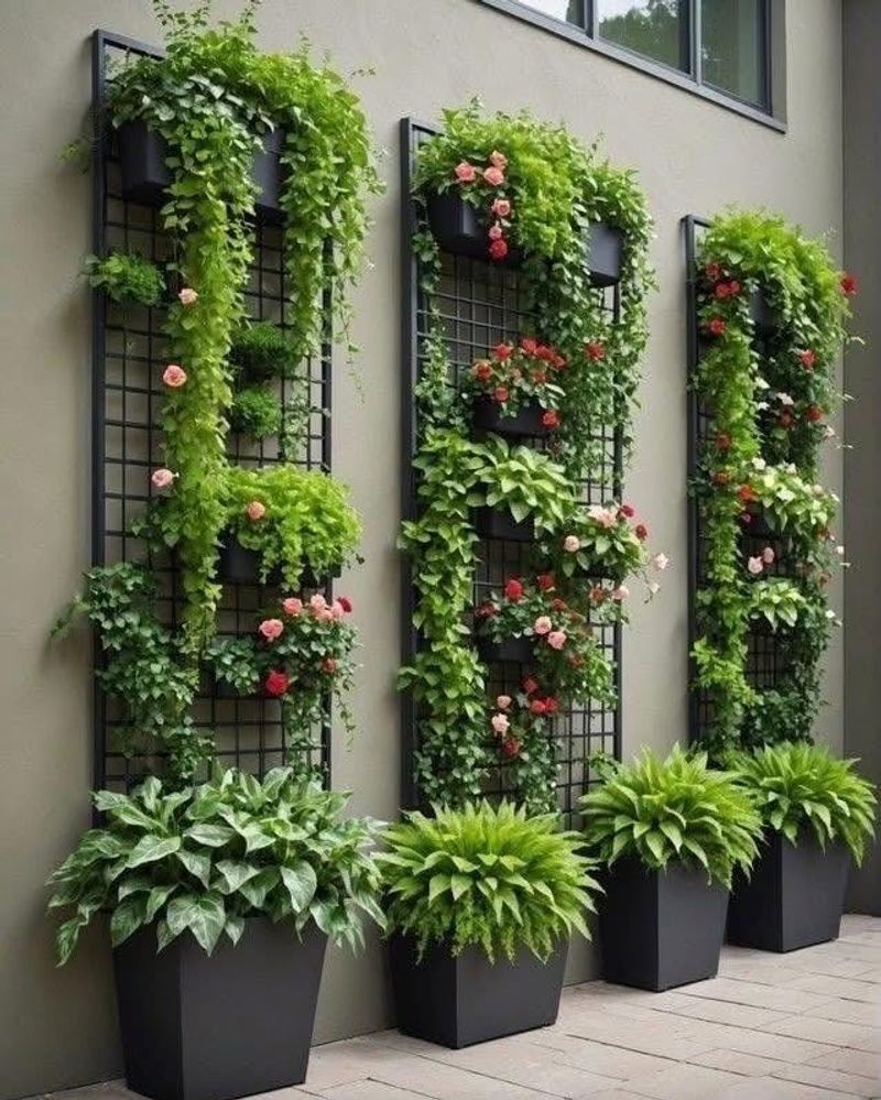Vertical Garden Wall