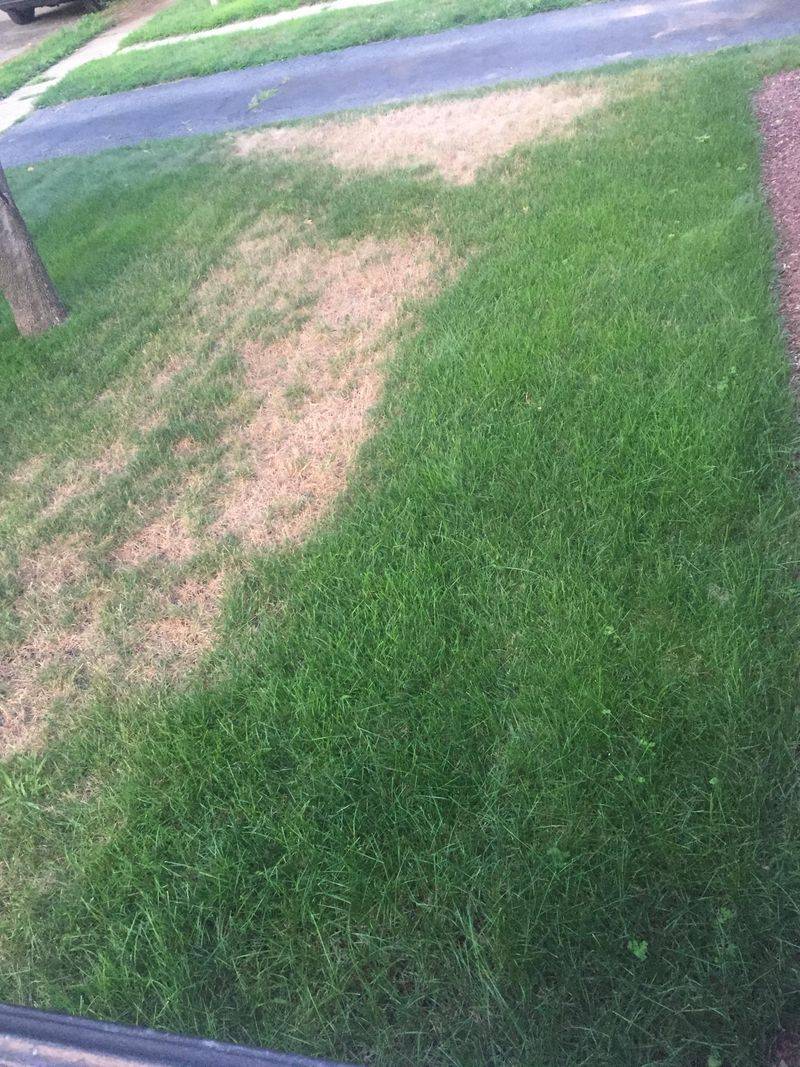 Premature Fertilizer Application