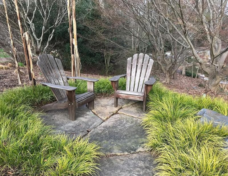 Ornamental Grasses Create Dense Weed Barriers