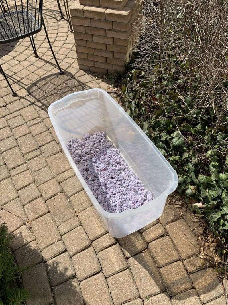 Cat Litter Extender