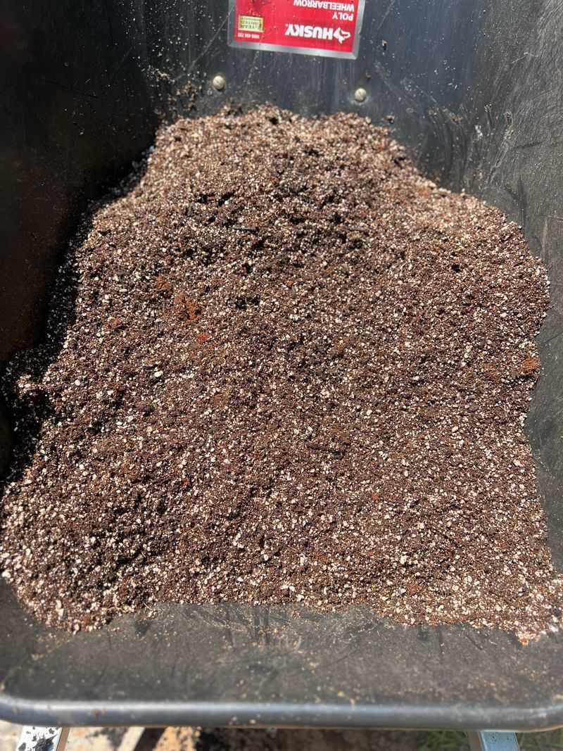Use High-Quality Potting Mix