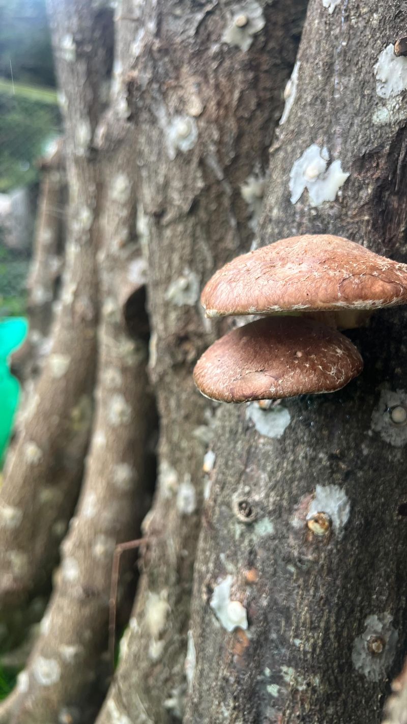 Select Quality Logs