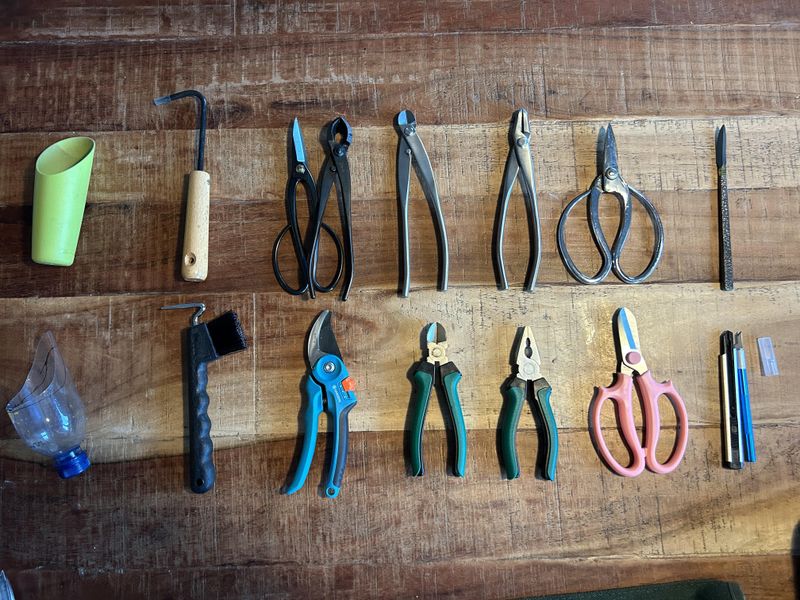Gather Essential Bonsai Tools