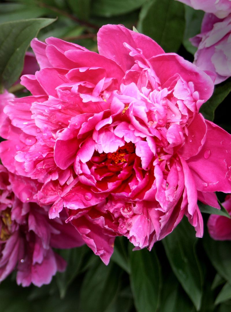 Bloom Timing Reality Check
