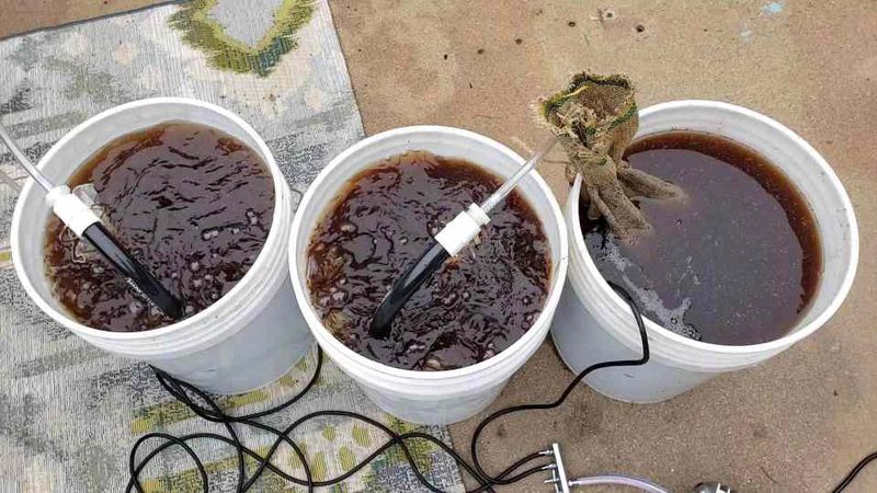 Compost Tea Brewing
