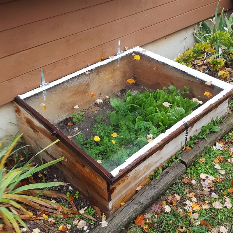 Cold Frame From Old Dresser