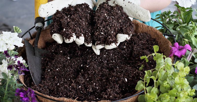 Reusing Potting Soil Multiple Seasons