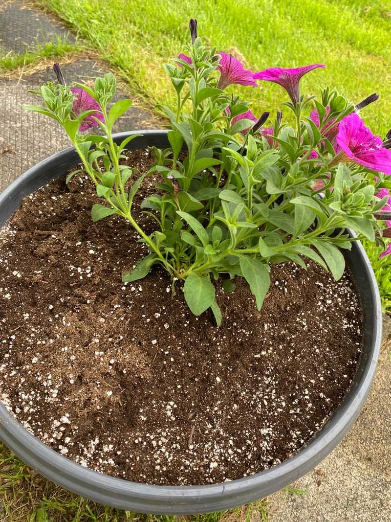 Forgetting Fertilizer Connections