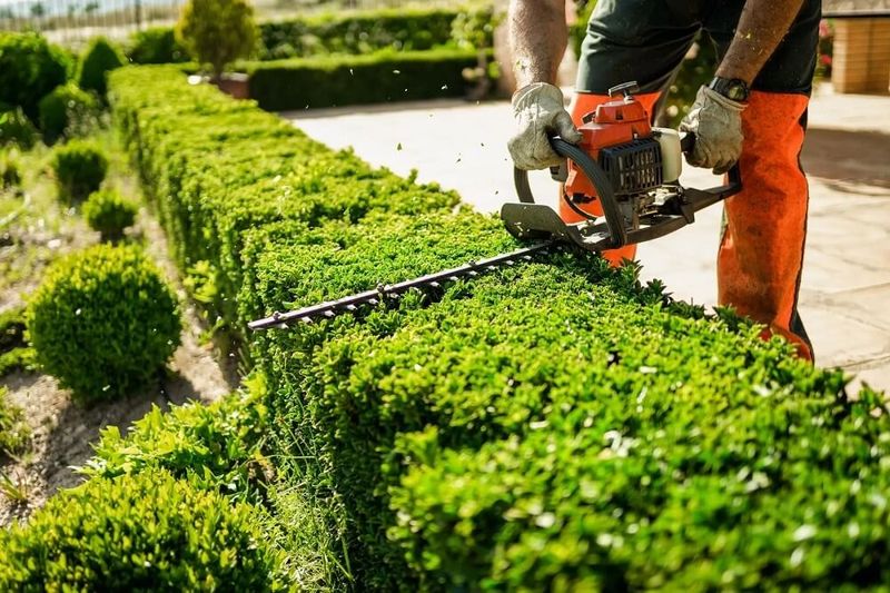 Creating a High-Maintenance Hedge